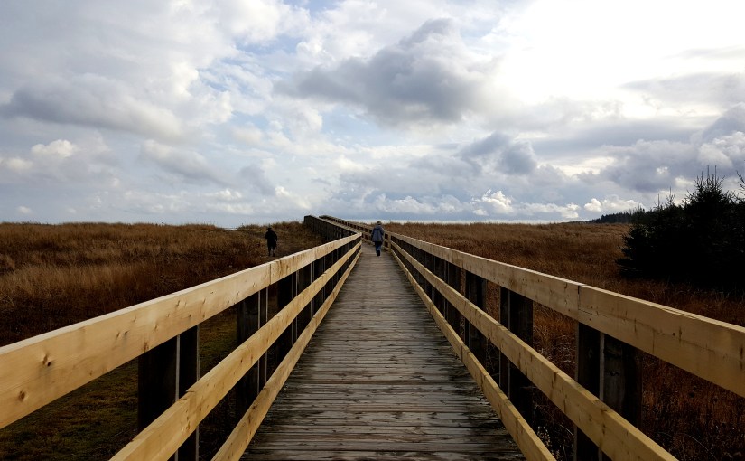 Nova Scotia und Haymarket – Sehnsucht nach&nbsp;Vertrautem