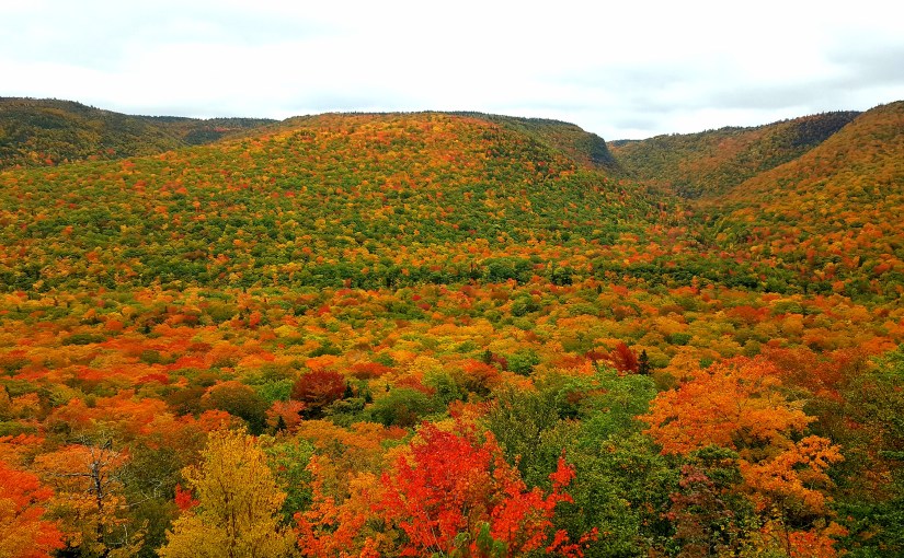 Road Trips! PEI (Prince Edward Island) und Cape&nbsp;Breton