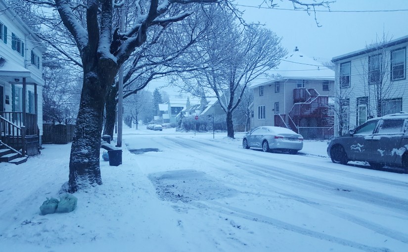 Der Winter zieht ein – es wird kalt und&nbsp;grau