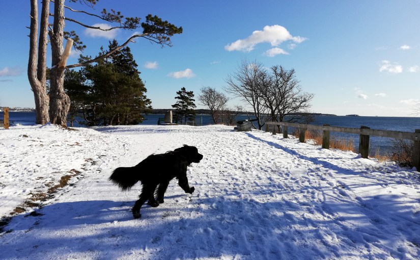 Winter in Halifax, Kopfzerbrechen, Weihnachten und&nbsp;Neujahr