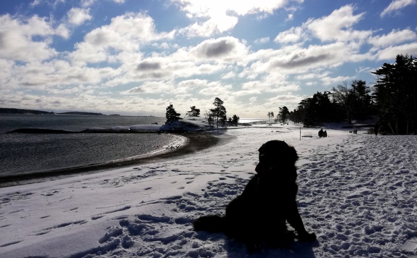 Winter Teil 2 und Beginn von&nbsp;Corona